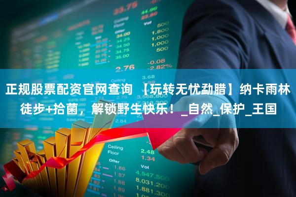 正规股票配资官网查询 【玩转无忧勐腊】纳卡雨林徒步+拾菌，解锁野生快乐！_自然_保护_王国