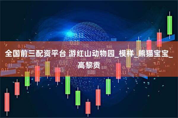 全国前三配资平台 游红山动物园_模样_熊猫宝宝_高黎贡